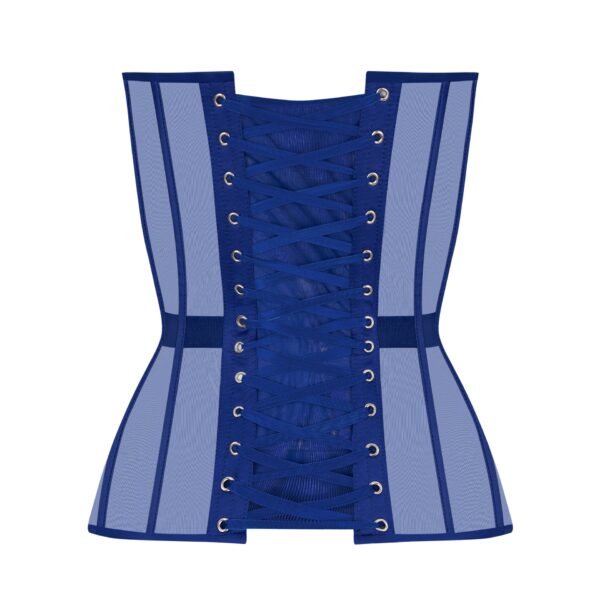 Blue Mesh Overbust Corset Top with Satin Cups