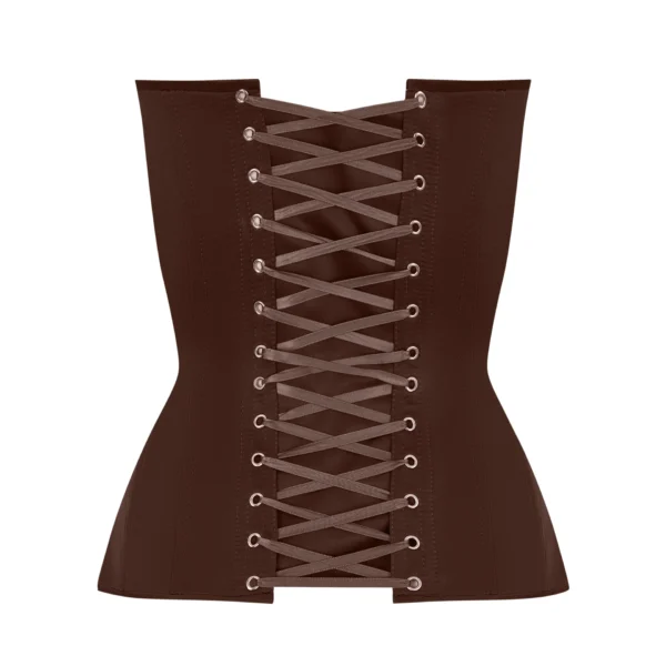 Brown Satin Corset Top with Transparent Front and Milk Reliefs