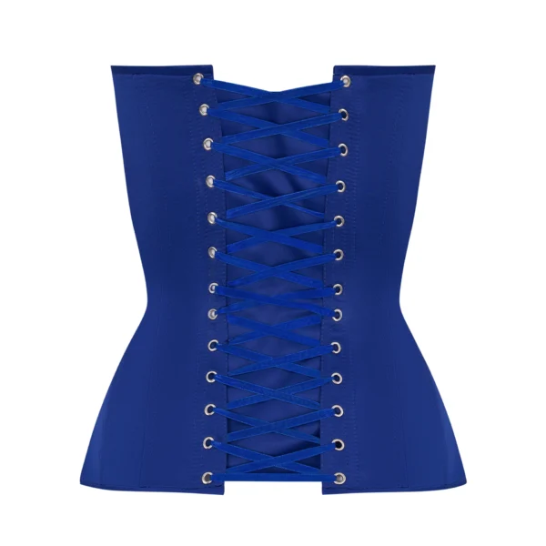 Blue Satin Corset Top with Transparent Front
