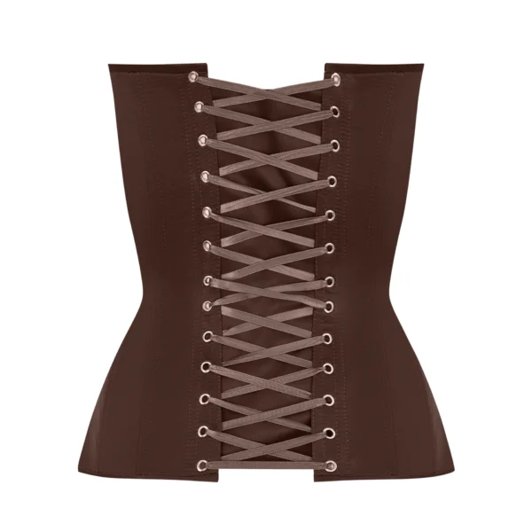 Brown Satin Corset Top with Transparent Mesh Front