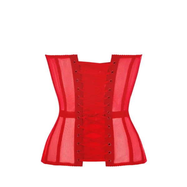 Red Corset Bustier with Cups and Transparent Front