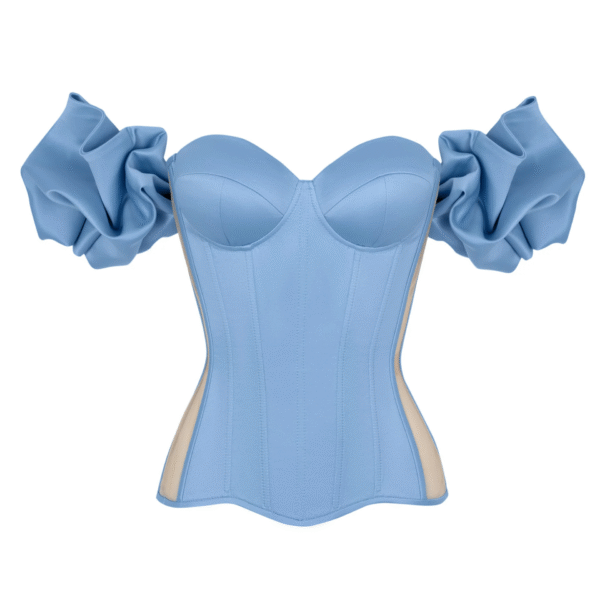 Blue Satin Sleeved Corset Top with Transparent Back
