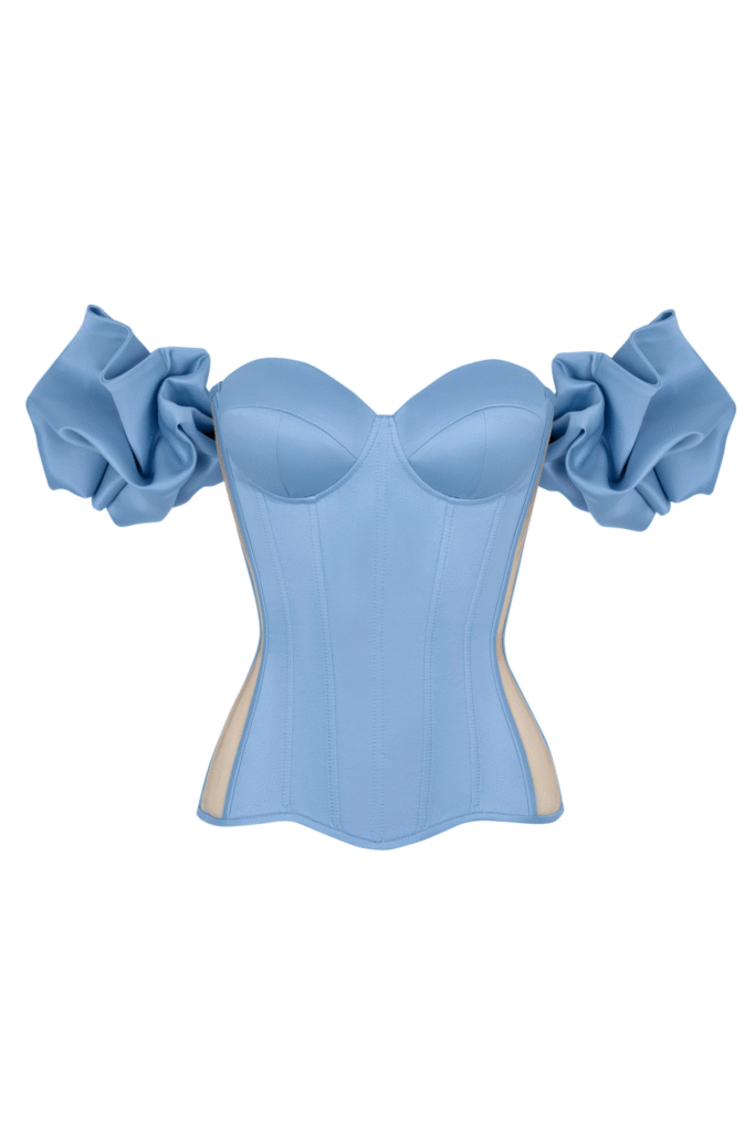 Blue Satin Sleeved Corset Top with Transparent Back