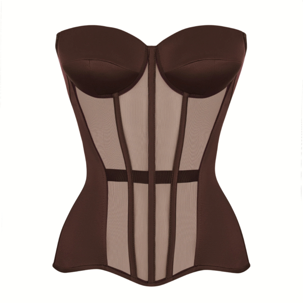 Brown Satin Corset Top with Transparent Mesh Front