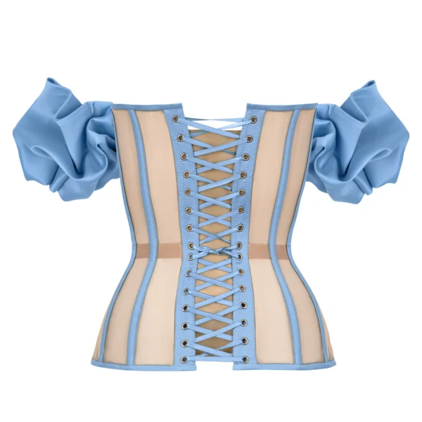 Blue Satin Sleeved Corset Top with Transparent Back
