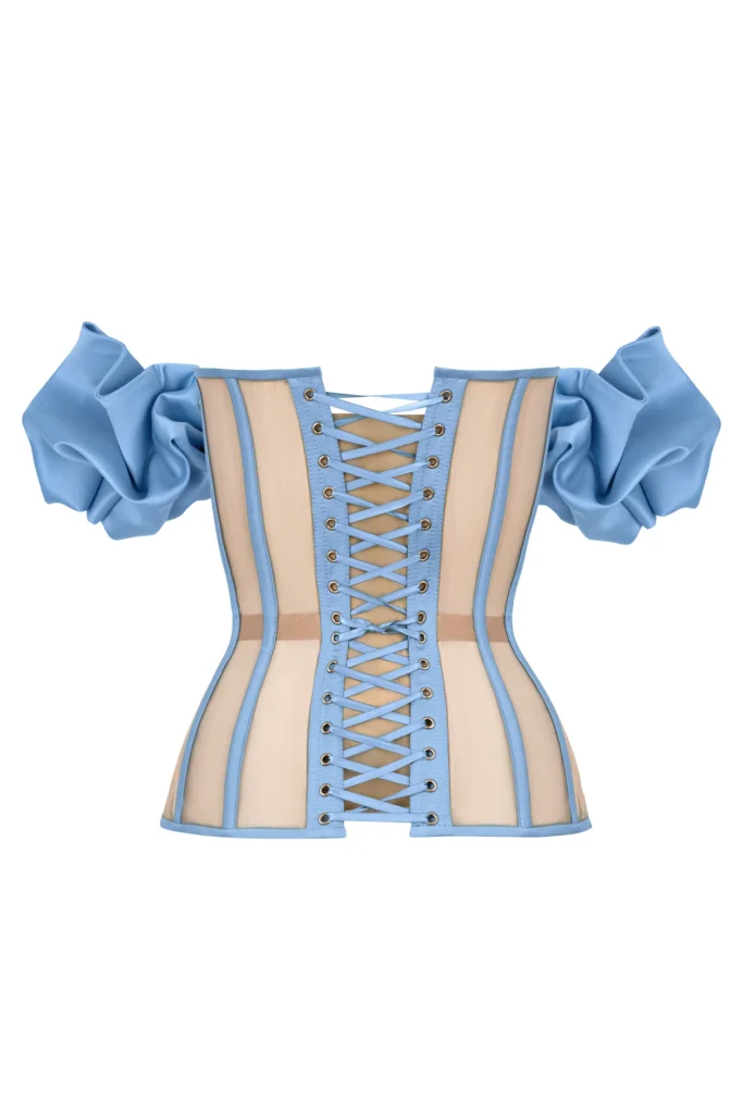 Blue Satin Sleeved Corset Top with Transparent Back